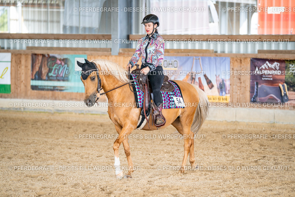 DSC08972 | Pferdegrafie