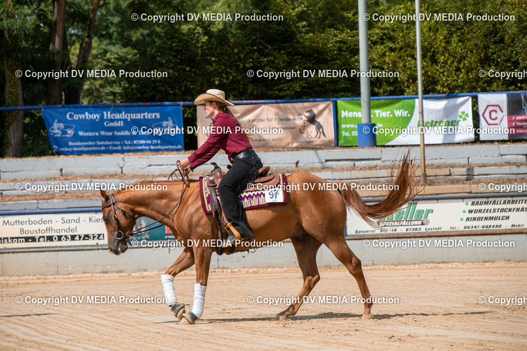 ZS3_9549 | dv-media-shop - Realisiert mit Pictrs.com