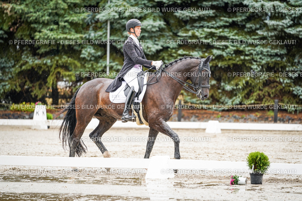 DSC08848 | Pferdegrafie