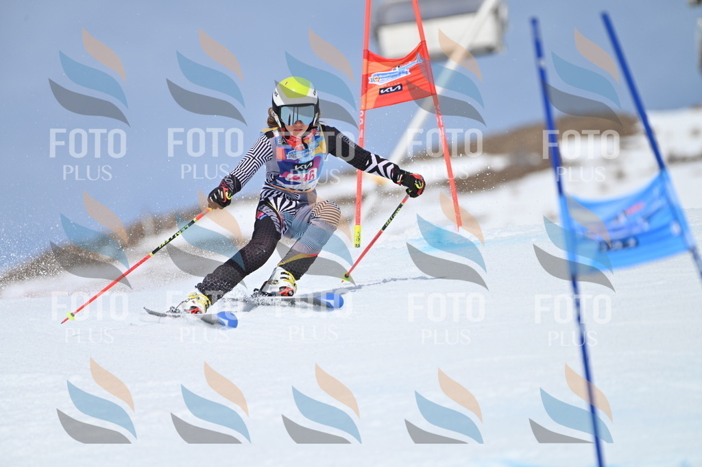 BGV_1802 | holidayphoto