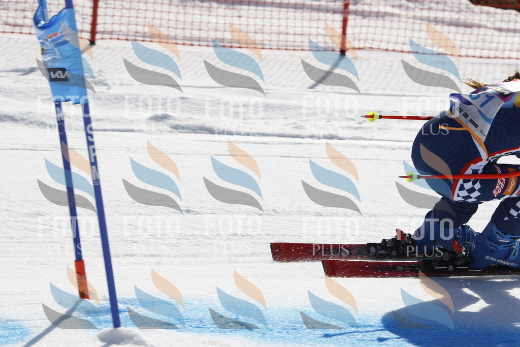 _U3G9066 | holidayphoto