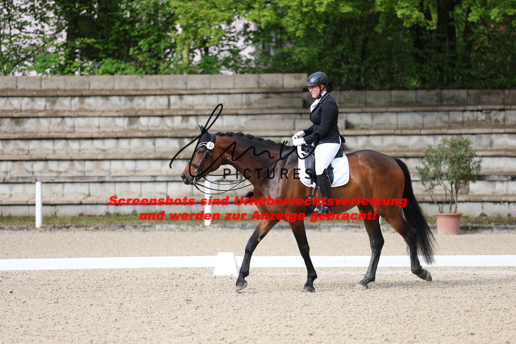 A40A0450 | lmwpictures - Realisiert mit Pictrs.com