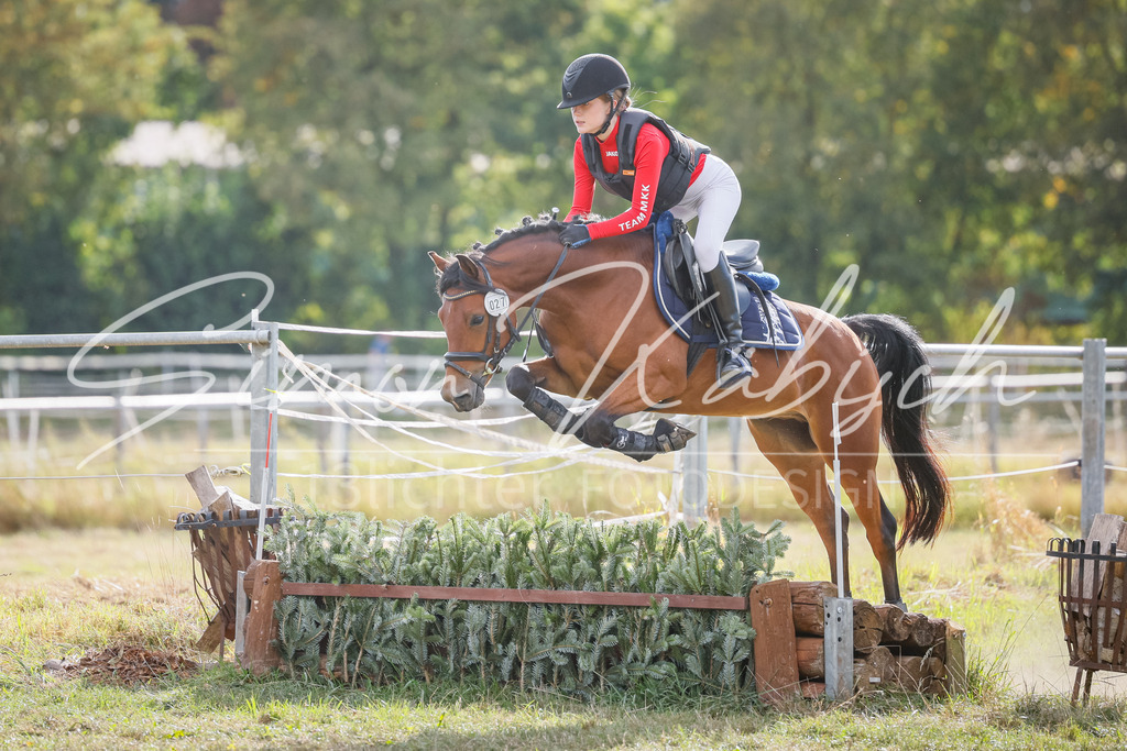 20250905-_3LI1800 | Tierfotografie Pferde, Hunde, Katzen, Haustiere.
Turnierfotografie Reitturniere, Reiten, Springreiten, Dressur in Hanau, dem Main-Kinzig-Kreis und dem Rhein-Main- Gebiet um Frankfurt