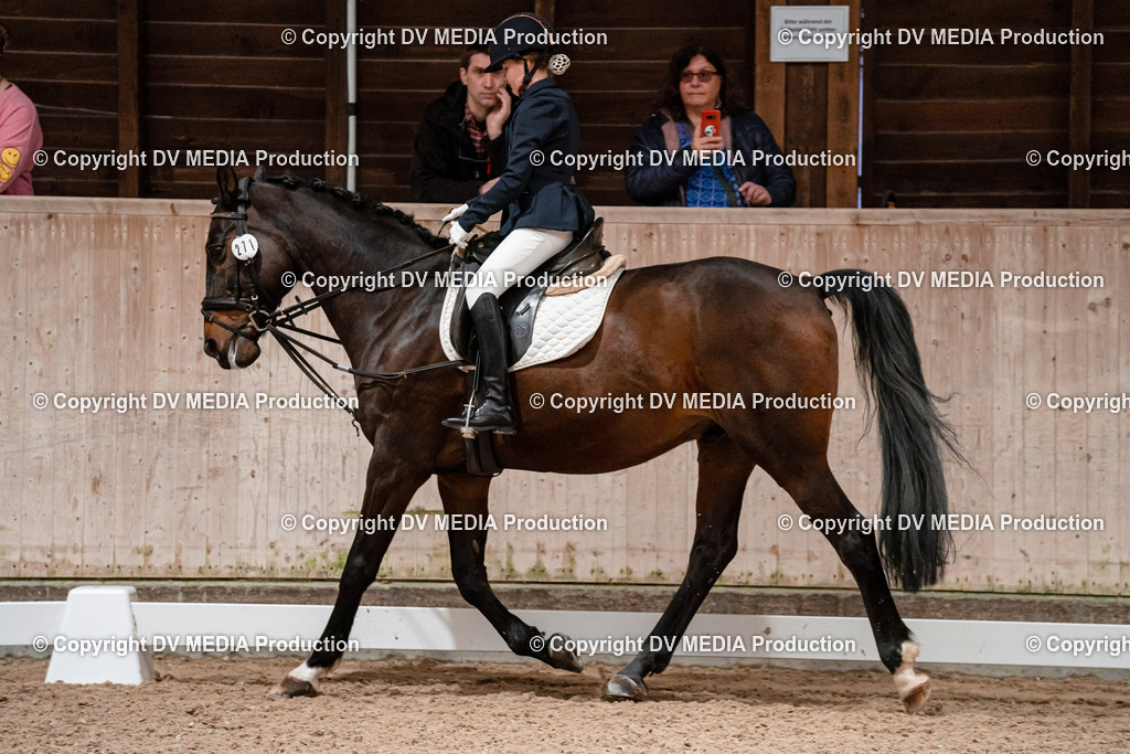 Dressur Tag 2-450 | dv-media-shop - Realisiert mit Pictrs.com