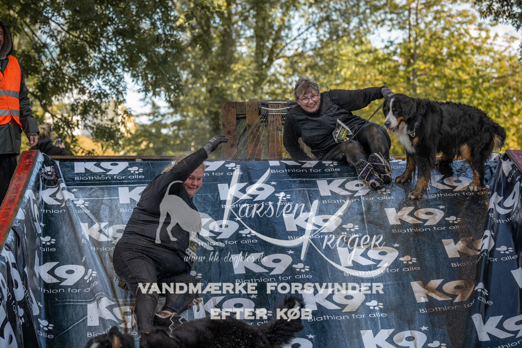 1559_ZZ91610 | kk-dogfotos