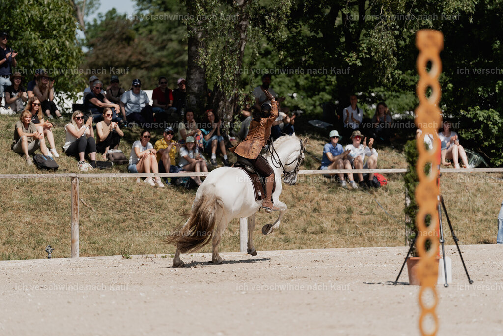 WE_SP_Stoib_347_PI2025_1558 | Pferd International München 2025