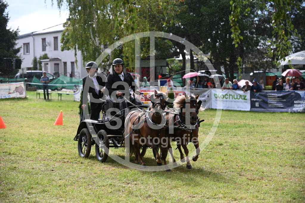 DSC_8895 | sattelsport - Realisiert mit Pictrs.com