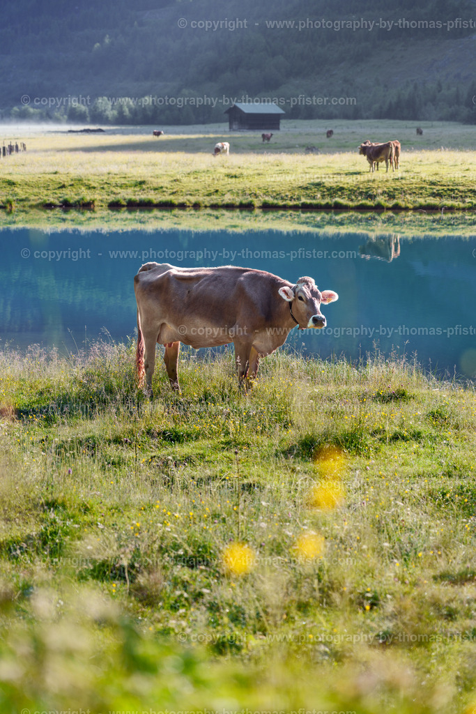 Finkau Wildgerlos copyright  Thomas Pfister-1 | PHOTOGRAPHY BY THOMAS PFISTER