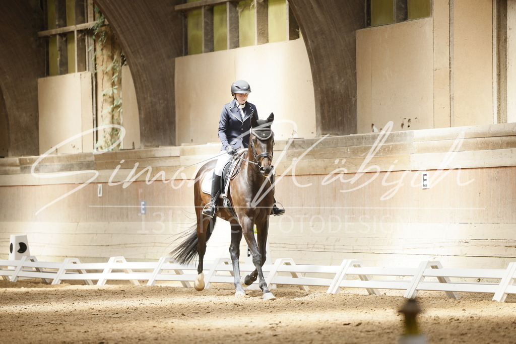 _3LI1371 | Tierfotografie Pferde, Hunde, Katzen, Haustiere.
Turnierfotografie Reitturniere, Reiten, Springreiten, Dressur in Hanau, dem Main-Kinzig-Kreis und dem Rhein-Main- Gebiet um Frankfurt