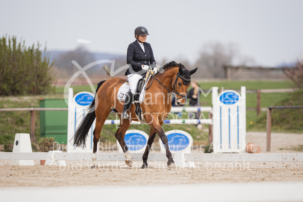 230410_Frühlingsfest_A-Dressur-422 | Deine schönsten Turniermomente als professionelle Fotos! Entdecke hochwertige Pferdesport-Fotografie im Online-Shop. Jetzt Fotos finden & bestellen!