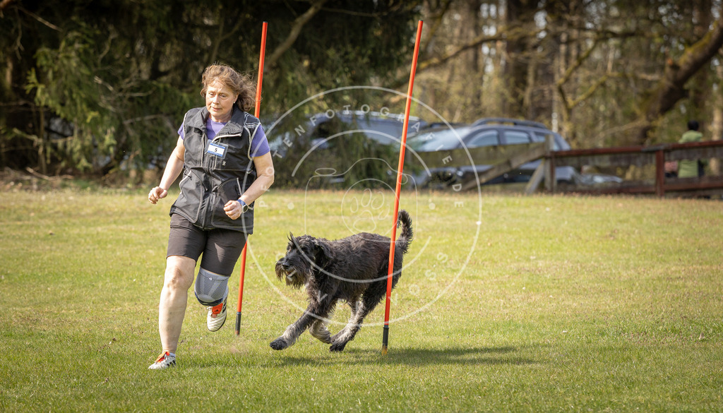 Pfotenfotografie_DV3A9659 | Hundefotografie, Tierfotograf, Pfotenfotografie, Fotoshooting Hund, Hunde Portrait, Hundesport, Hundeportraits, Heideshooting, Hunde, Sportfotograf, Hundefotograf, Turnierhundsport, THS,  - Realisiert mit Pictrs.com