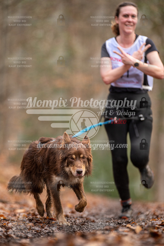 SPA_2023_DIM_CCL-137 | PayLife