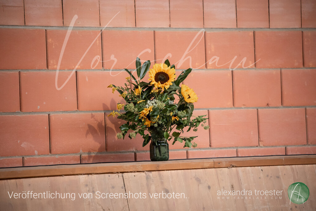 250913_Barop_11_163 | farbklaex.com
