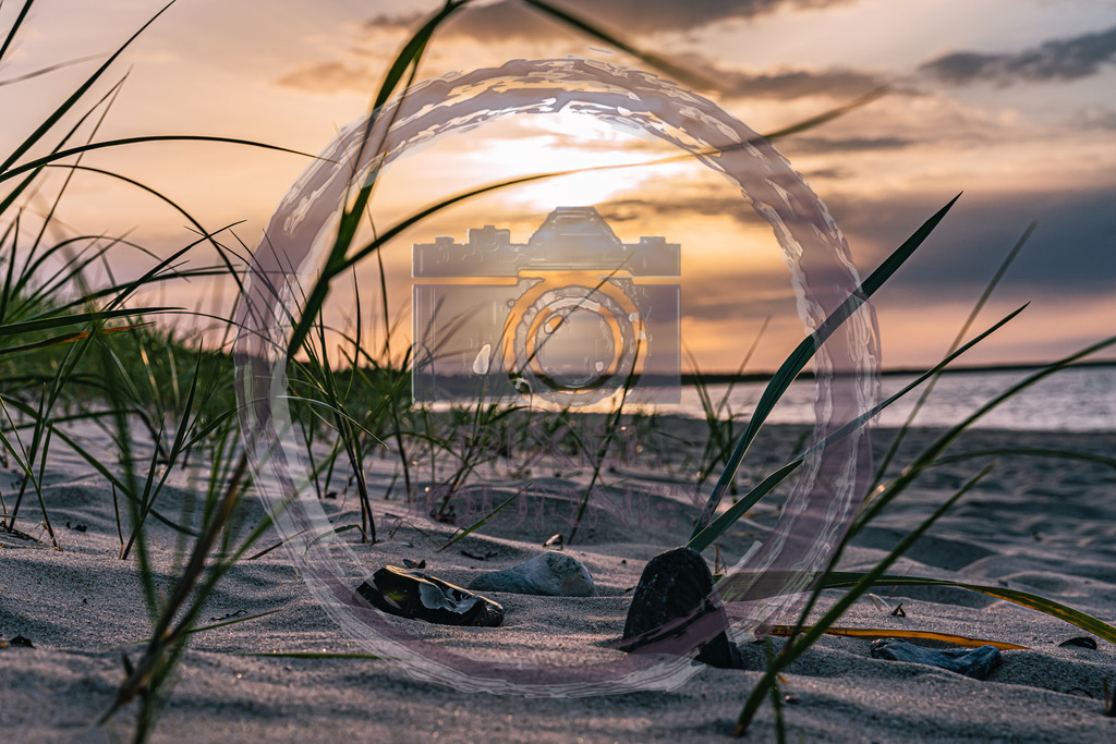 Sunset_Rügen_Schilf2 | Fotograf, Fotografin, Portraitfotograf, Kunstfotograf, Fotoshop Fineart, Fotoshop Kunstfotografie, Fotos kaufen, Pixeljourney, Doreen Riedel, Natur, Tiere, Architektur, Kunst, Makro - Realisiert mit Pictrs.com