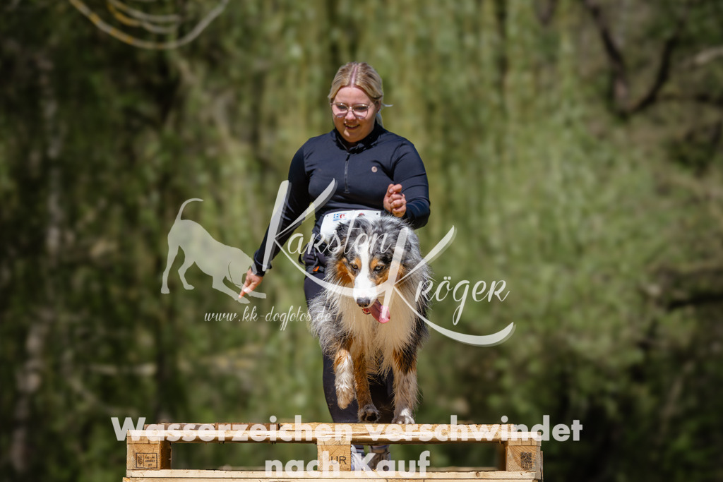 1253_ZZ94779 | kk-dogfotos