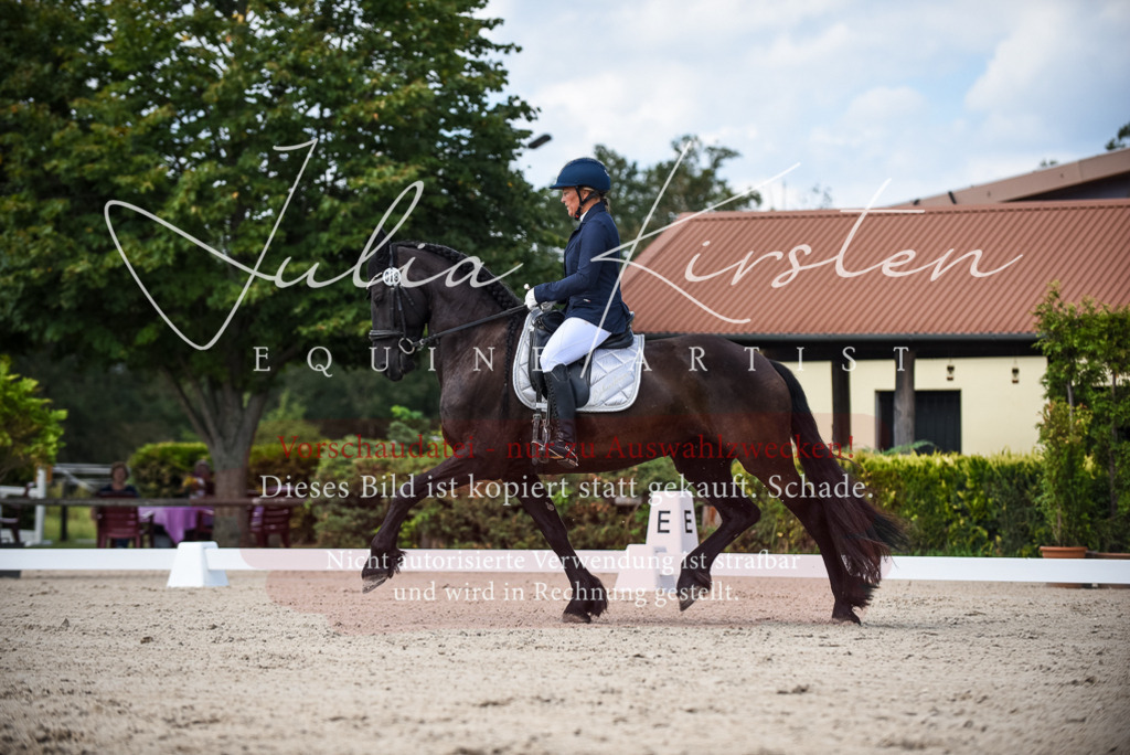 DSC_9153 | Pferde- und Turnierfotografie in Westsachsen. Pferdeportraits, Auftragszeichnungen und intuitive Kunst.
