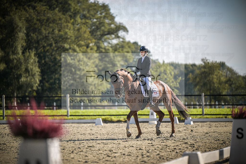 DOS_3176 | Entdecke hochwertige Reitturnierfotos von Foto Oger. Professionell, emotional und authentisch – jetzt Lieblingsmomente im Shop bestellen.Deutschlandweite Turnierfotografie. - Realisiert mit Pictrs.com