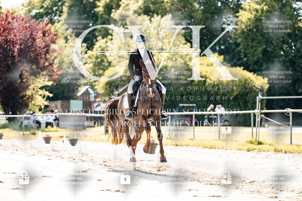 CK909099 | Turnierfotografie Pferdefotografie Trier Rheinland-Pfalz Pferdesport Reitsport Tierfotografie Sportfotografie Pferdevideo Pferdevideografie Equestrianvideography equestrianphotography  - Realisiert mit Pictrs.com