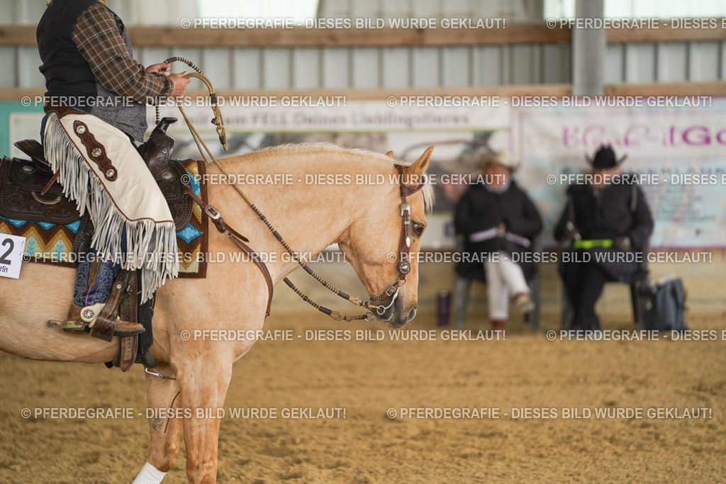 DSC04897 | Pferdegrafie