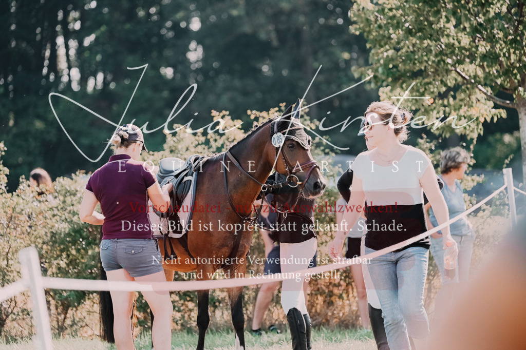 DSC_4983 | Pferde- und Turnierfotografie in Westsachsen. Pferdeportraits, Auftragszeichnungen und intuitive Kunst.