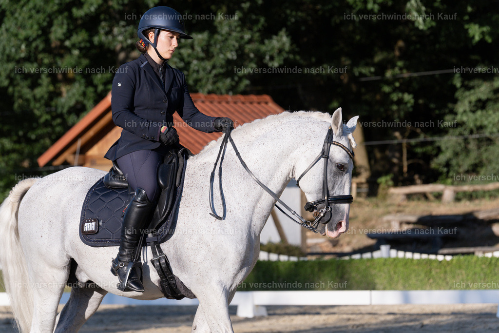 WM_DR_133_sinafilmart_IN04925 | working equitationturnier fotograf videograf stoibphotography marixx film working equitation deutschland reitsport turnierfotografie eventfotografie equestrian events