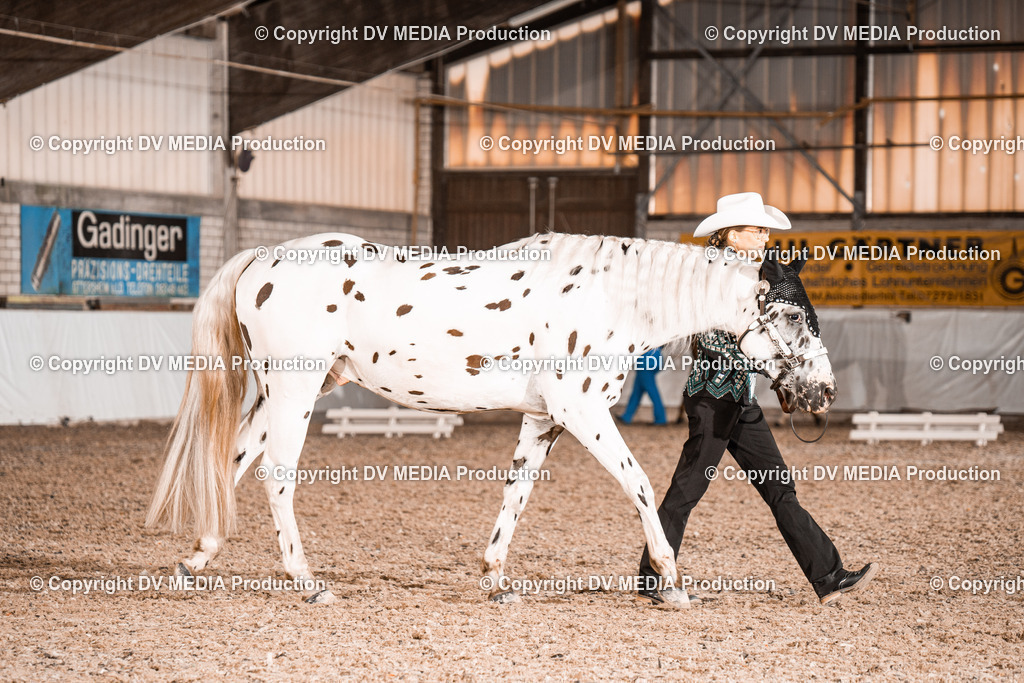 ZH200132 | dv-media-shop - Realisiert mit Pictrs.com