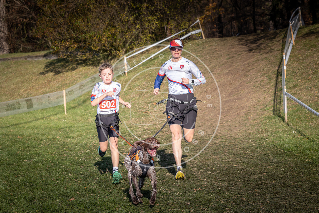 CaniXpix_0L8A8378 | Hundefotografie, Tierfotograf, Pfotenfotografie, Fotoshooting Hund, Hunde Portrait, Hundesport, Hundeportraits, Heideshooting, Hunde, Sportfotograf, Hundefotograf, Turnierhundsport, THS,  - Realisiert mit Pictrs.com