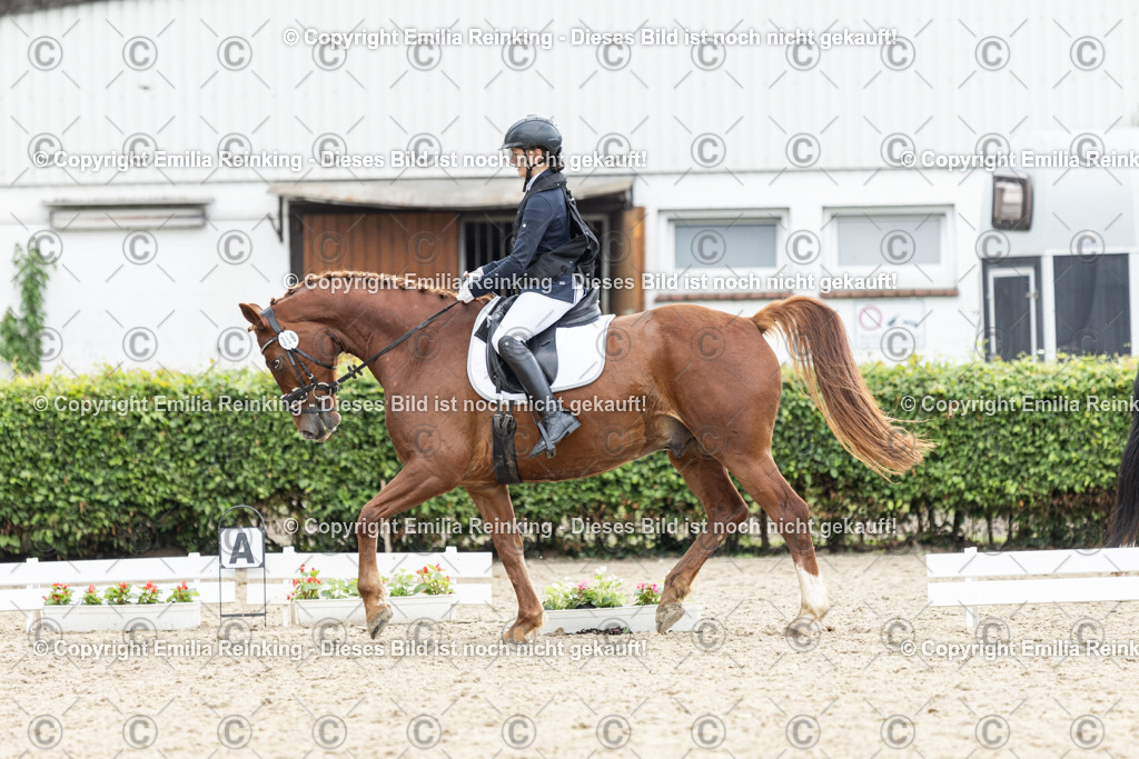 CL5A6948 | Emilia Reinking Fotografie - Realisiert mit Pictrs.com