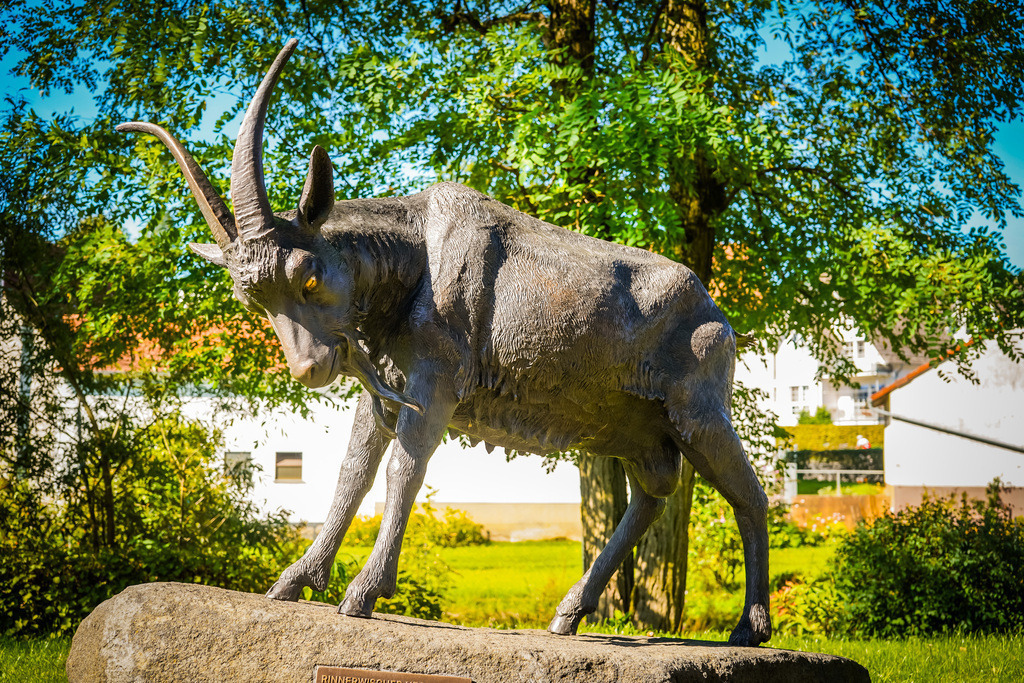 Heckebock - Rinderbügen | Die Augen des Heckebock leuchten in der Mittagsonne und erwecken die eiserne Statue zum Leben.Auch in Rinderbügen zeigt der Sommer an diesem Wochenende ein letztes Mal was in im steckt. In der sengenden Mittagshitze entfalten die Exponate in der Dorfmitte eine eigene Atmosphäre und die Kunstwerke aus Eisen und Stein werden durch die kontrastspendenden Schatten zum Leben erweckt. Als Besucher spürt man die Liebe und Mühe, die in die Gestaltung und Erhaltung des Platzes fließen. Vielleicht dient dieser Ort als Inspiration für die neuen Dorfmitten in Gedern und Hirzenhain? - Realisiert mit Pictrs.com