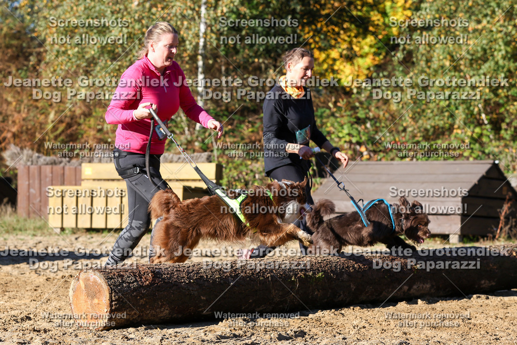 Dog Paparazzi - Strongdog 10-25-1750 | Dog Paparazzi Jeanette Grottendiek Fotografie & Videografie - Realisiert mit Pictrs.com