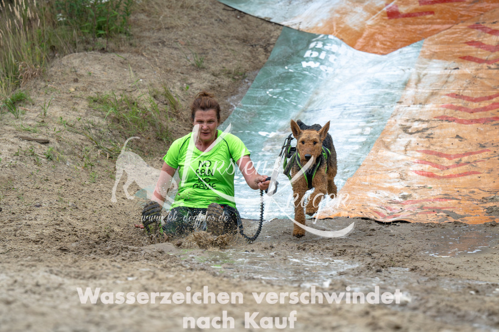 0954_ZZ91662-Verbessert-RR | kk-dogfotos