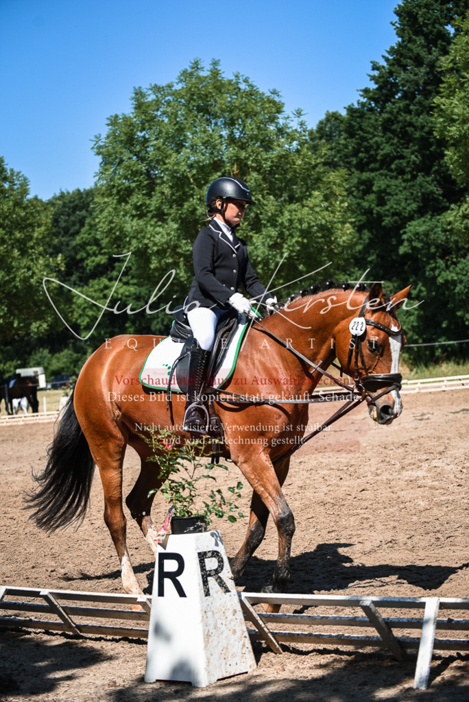 DSC_3459 | Pferde- und Turnierfotografie in Westsachsen. Pferdeportraits, Auftragszeichnungen und intuitive Kunst.