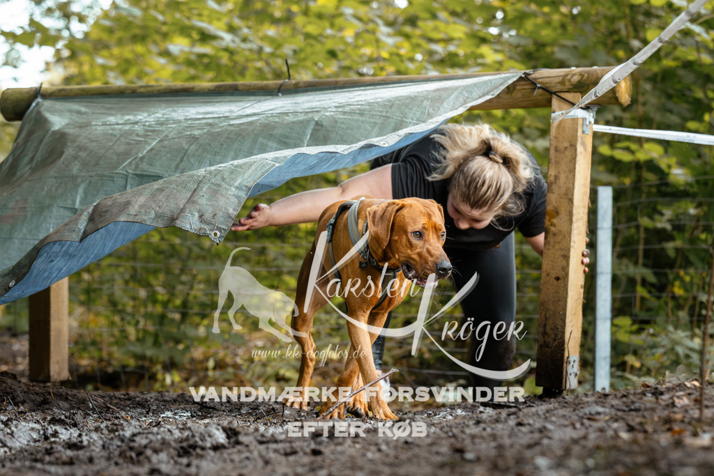 1426DZ6_2072Z6 | kk-dogfotos