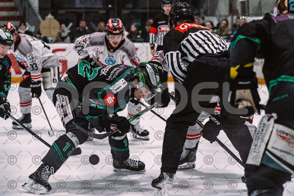 Alligators_vs_Memmingen_09_01_2026-52 | Höchstadt Alligators Fotogalerie: Eishockey-Action aus Franken. Professionelle Spielfotos, Portraits & Stadionbilder zum Download. Jetzt entdecken! - Realisiert mit Pictrs.com