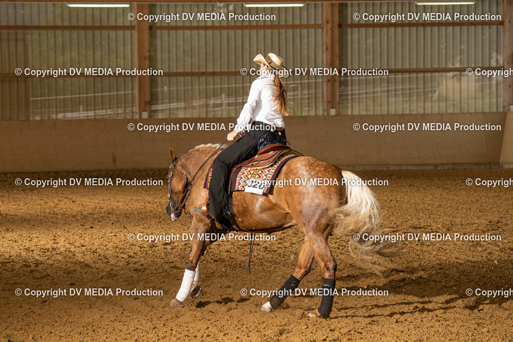 LAU00975 | dv-media-shop - Realisiert mit Pictrs.com