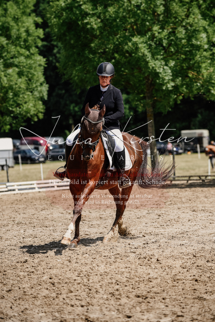 DSC_1315 | Pferde- und Turnierfotografie in Westsachsen. Pferdeportraits, Auftragszeichnungen und intuitive Kunst.
