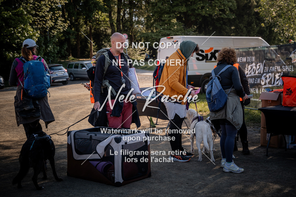 nelerasche_SaCheckIn_164 | nelerasche