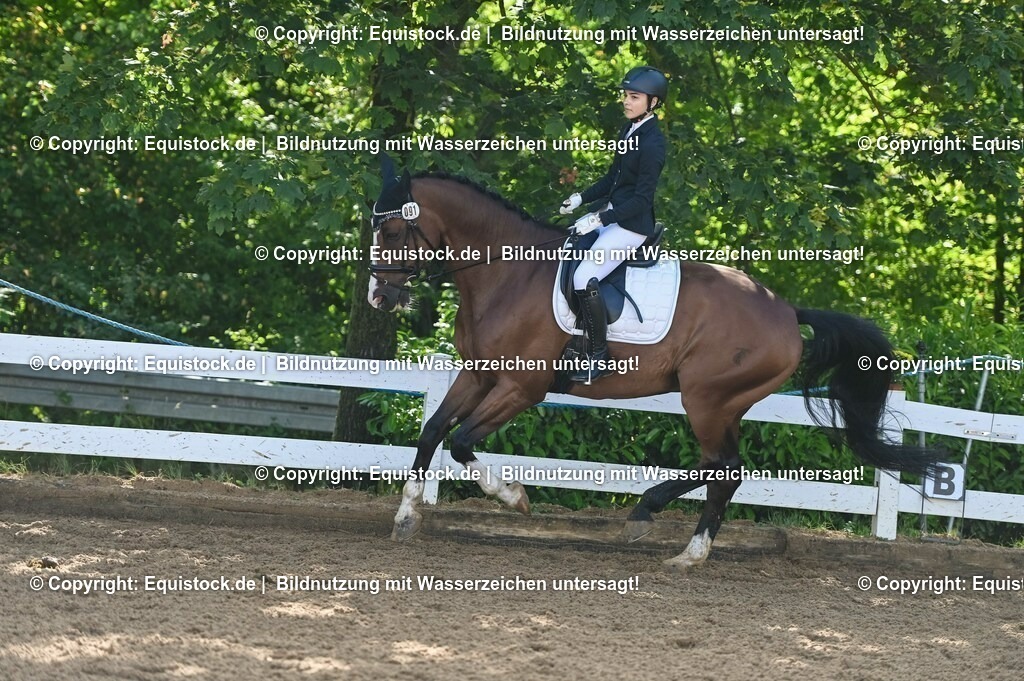 20230716_04_Dressurreiterprüfung Kl.A_0178 | equistock
