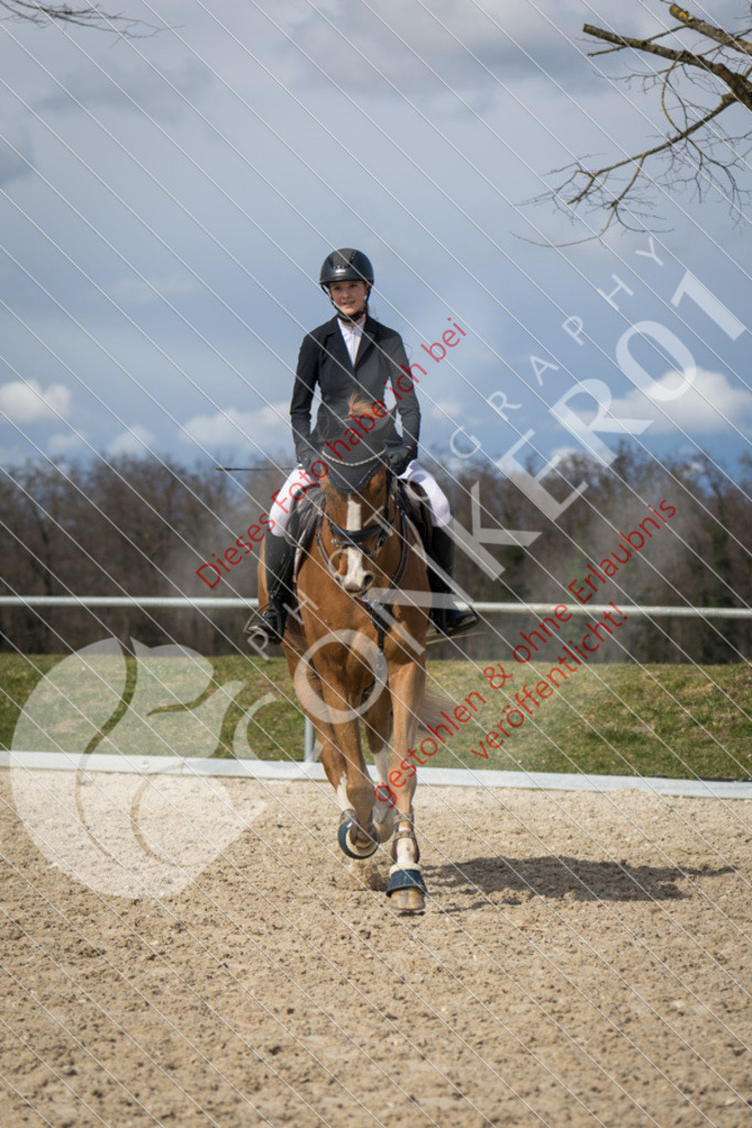 IMG_4288 | Sport-, Event- und Tierfotos in Profiqualität. Einfach auswählen, bestellen und herunterladen. Dein Moment – perfekt festgehalten.