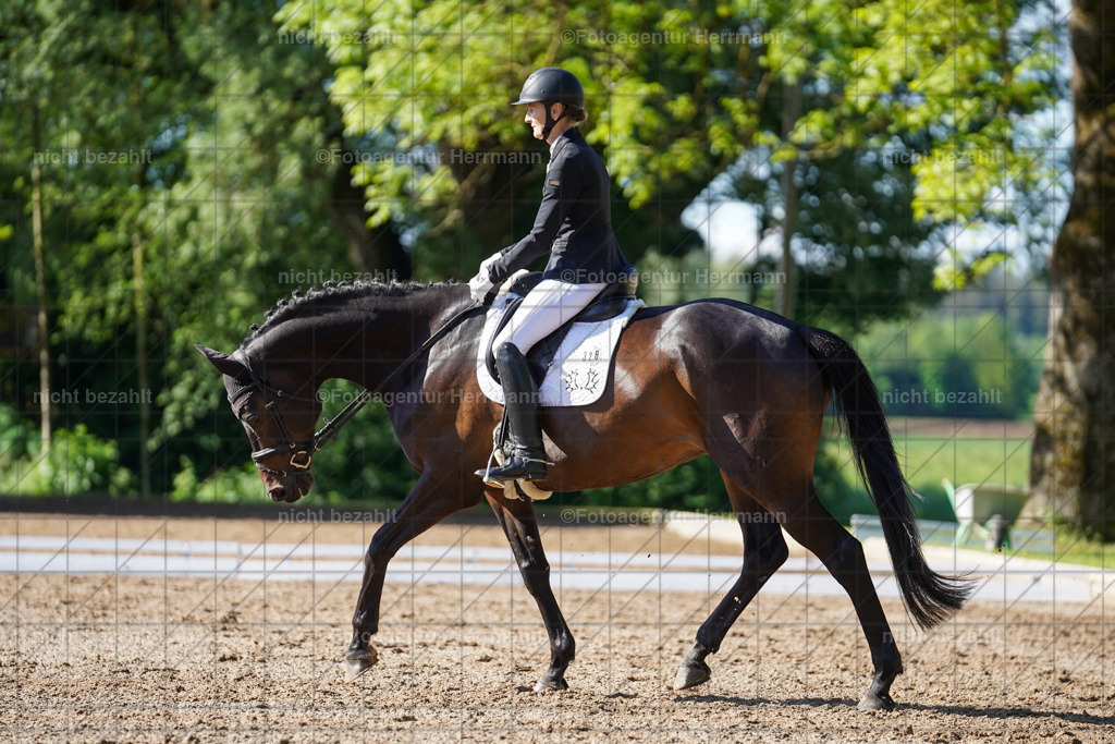 20240519-FAH04475 | Turnierbilder Niederseeon 2024, Vielseitigkeitsdressur, Reitsportbilder aus dem Landkreit Ebersberg, Gut Steinsee, RC Steinsee, Fotoagentur Herrmann