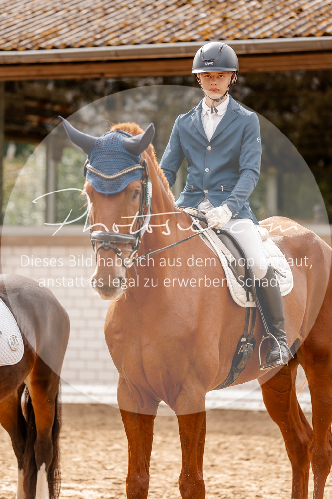 3I6A7611 | Stimmungsvolle Portraits und Reitsportfotografie im Ruhrgebiet und im Münsterland.

Pferdefotografie, Hundefotografie, Tierfotografie, Reportagen, Portraits von Tier und Mensch, Turnierfotografie in Bochum, Recklinghausen, Marl, Haltern am See, Dülmen.. - Realisiert mit Pictrs.com