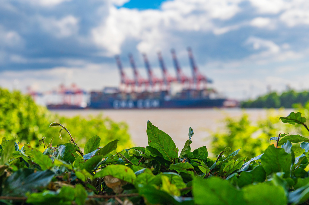 2023_07_02_HH-OEVELGOENNE_MCP9815 | Hochwertig gedruckte Fotografien für die Wand, als Kalender und zum Verschenken. Hamburg & Norddeutschland und überall wo ich mit der Kamera unterwegs war.