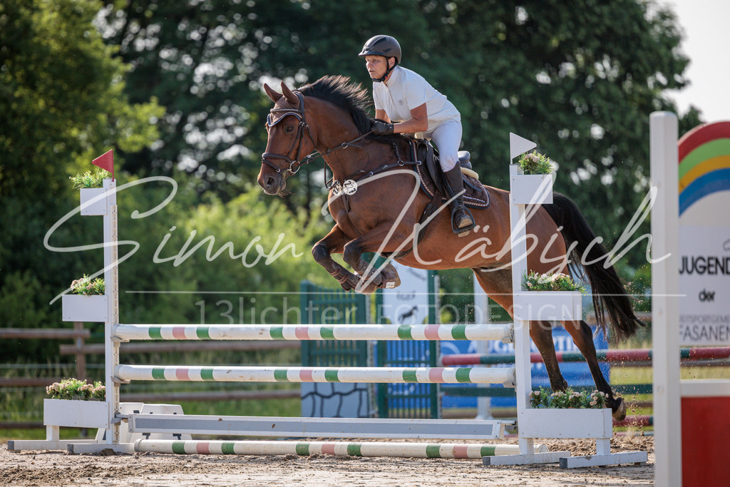 20260529-_3LI0427 | Tierfotografie Pferde, Hunde, Katzen, Haustiere.
Turnierfotografie Reitturniere, Reiten, Springreiten, Dressur in Hanau, dem Main-Kinzig-Kreis und dem Rhein-Main- Gebiet um Frankfurt