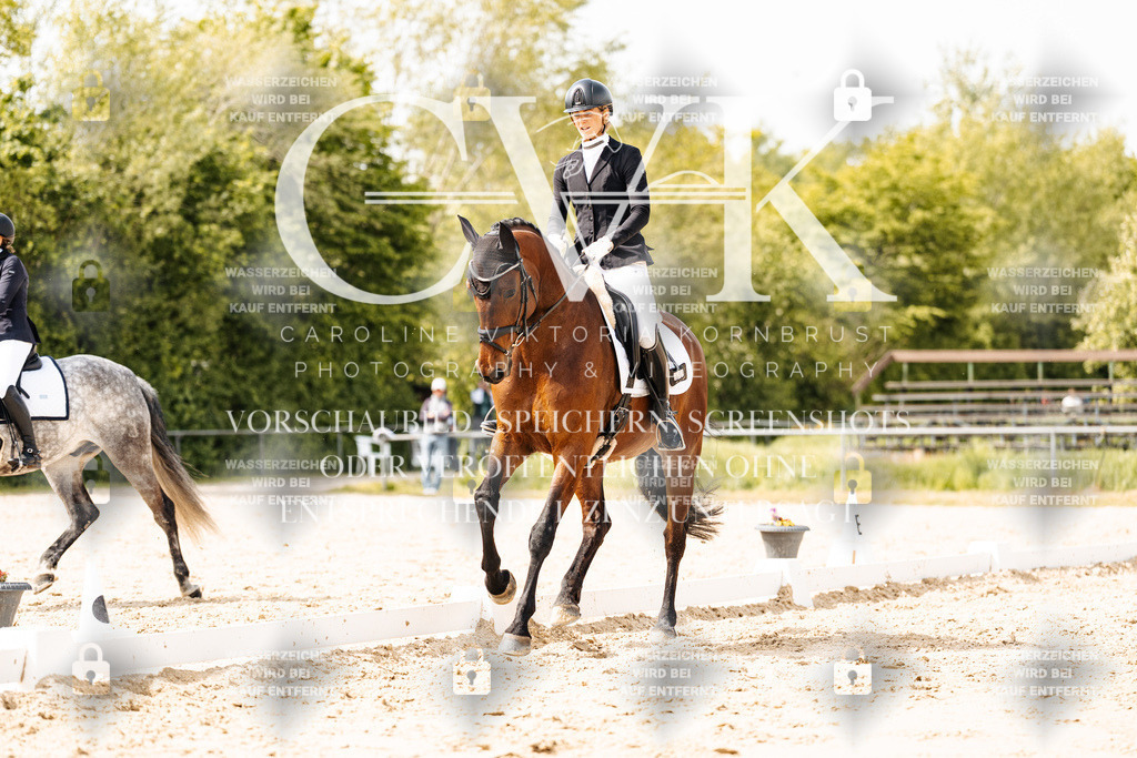 CK901543 | Turnierfotografie Pferdefotografie Trier Rheinland-Pfalz Pferdesport Reitsport Tierfotografie Sportfotografie Pferdevideo Pferdevideografie Equestrianvideography equestrianphotography  - Realisiert mit Pictrs.com