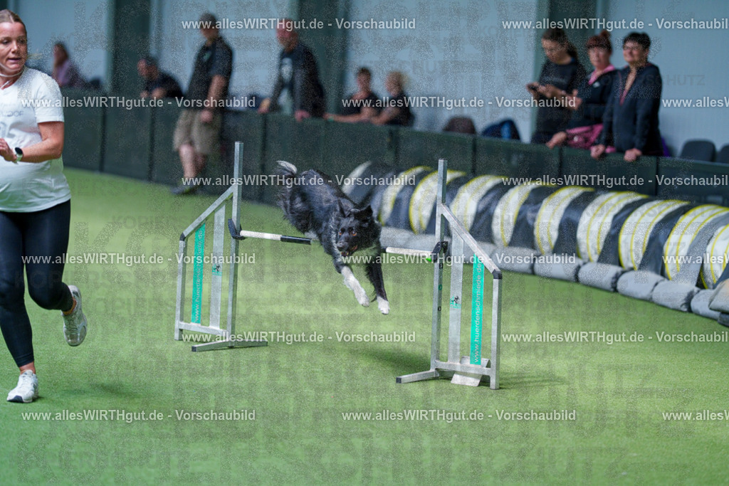 @allesWIRTHgut_Tierfotografie - www.allesWIRTHgut.de - 2604261403-7R503320 | Professionelle Tierfotografie in Mönchengladbach von Daniel Wirth (allesWIRTHgut). Liebevolle & natürliche Bilder von Hunden & Katzen für unvergessliche Erinnerungen.