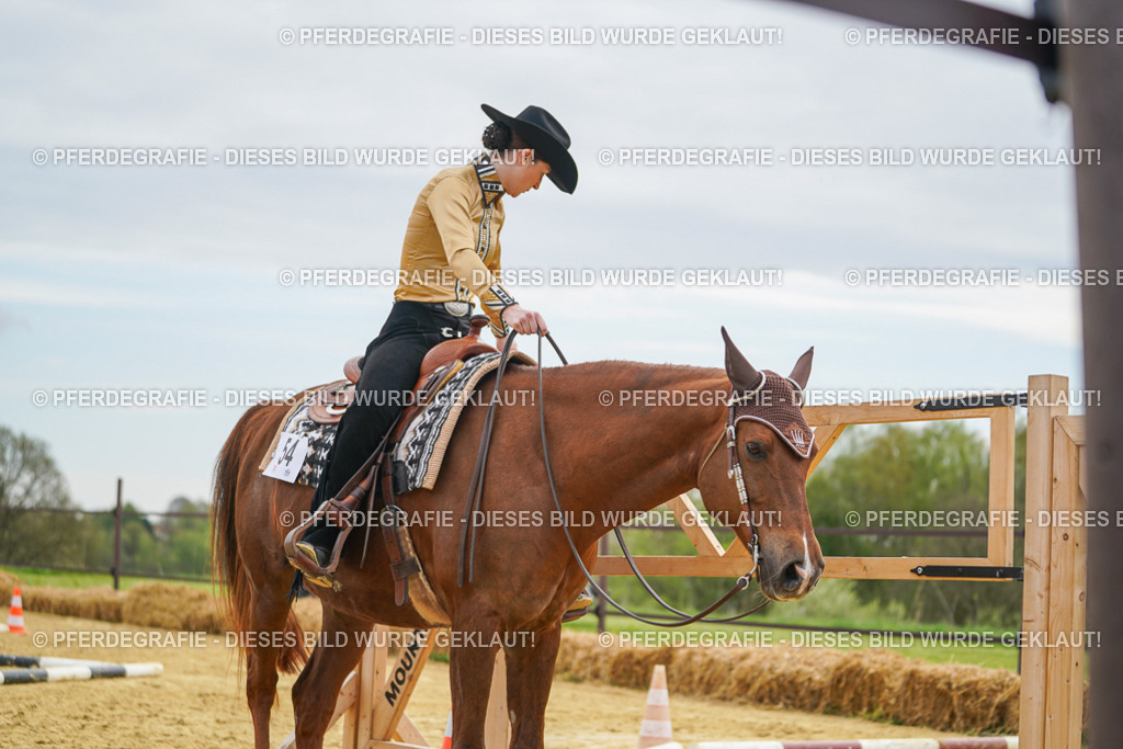 DSC03245 | Pferdegrafie