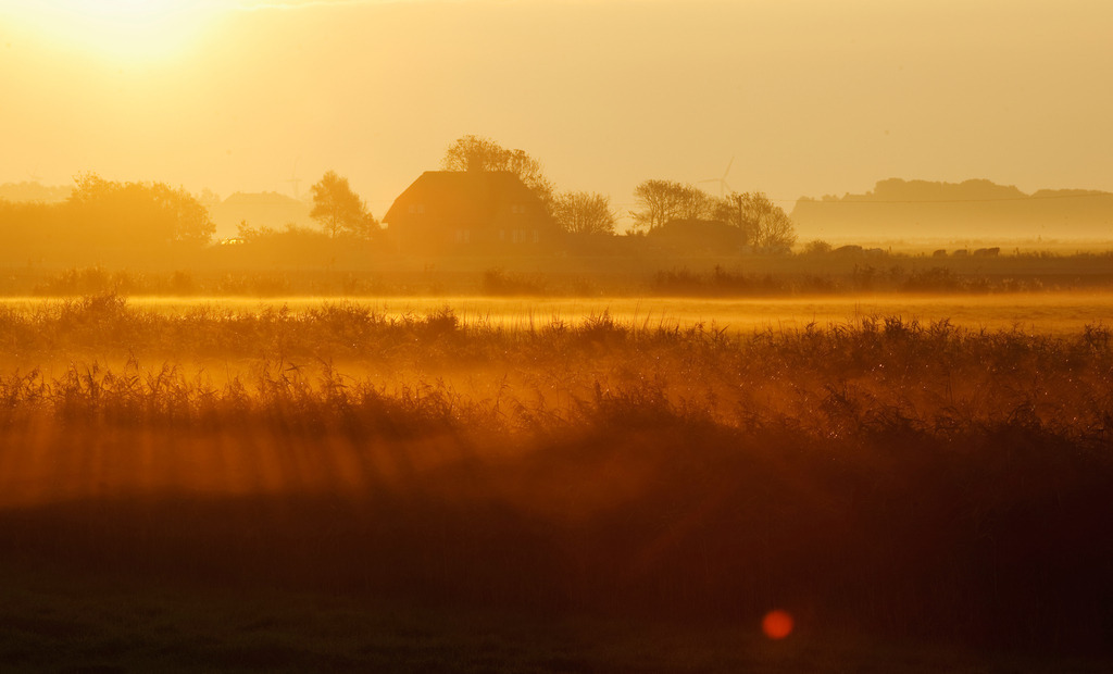 Morgenlicht in Landschaft | Europa, Deutschland, Schleswig-Holstein, Norderhafen, Morgenlicht in Landschaft - Realisiert mit Pictrs.com