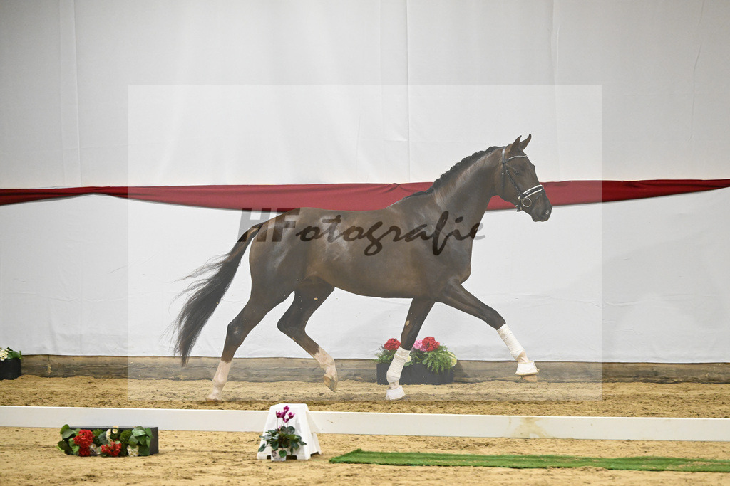 Kat-Nr. 66 v. Revolution_Reuner-Krebs_63221938 | hf-fotografie - Realizzato con Pictrs.com
