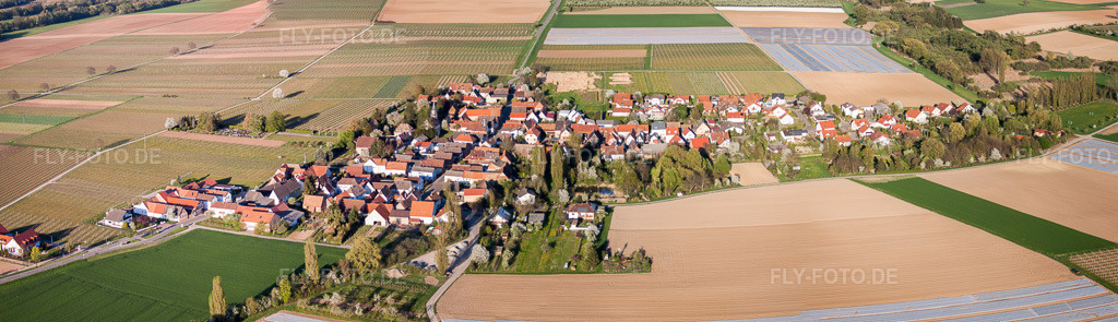 Luftbild: Panorama Perspektive landwirtschaftlichen Feldern und Nutzflächen in Kleinfischlingen im Bundesland Rheinland-Pfalz in Deutschland. Foto: IMG_56712-Bearbeitet.jpg vom 25.04.2013 durch Werner Riehm/FLY-FOTO.de – Auflösung des Originals: 10792 x 3109 px