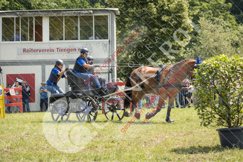 IMG_8663 | Sport-, Event- und Tierfotos in Profiqualität. Einfach auswählen, bestellen und herunterladen. Dein Moment – perfekt festgehalten.